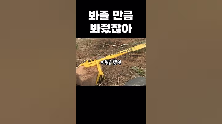 한국 실화 사건! 봐줄 만큼 봐줬잖아... 천안 내연남 공기총 살인사건