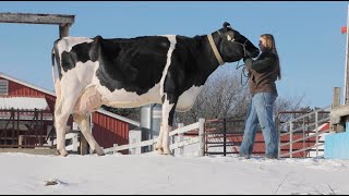 Finding a Passion: University of Vermont