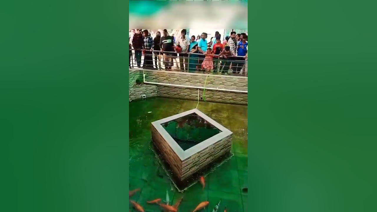 happiness-is-a-big-fish-youtube