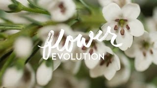 FLOWEREVOLUTION | Pick a flower. Change your life.