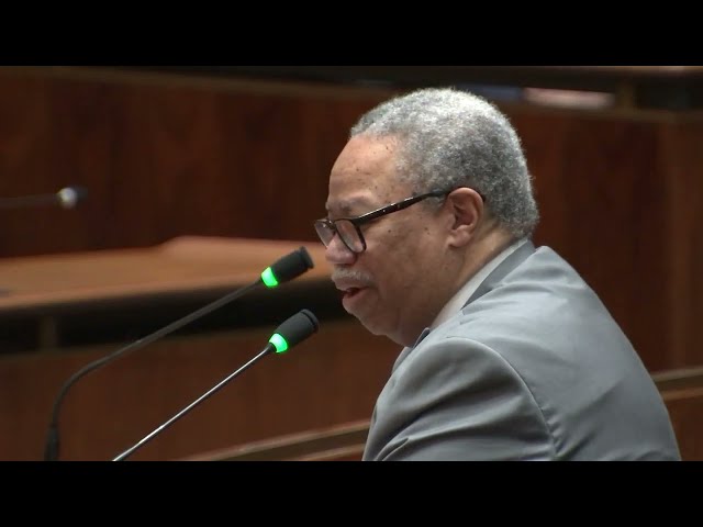 CTA president Dorval Carter testifies before Chicago City Council's Transportation Committee class=