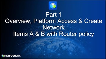 Getting Started with NetFoundry Part 1