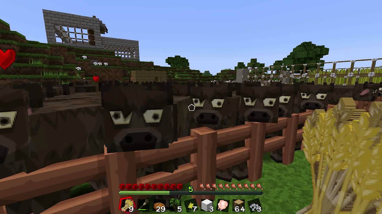 TeamSgeht stellt sich vor