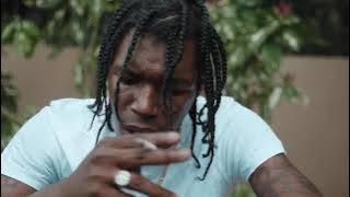 Franco Wildlife - Hurt