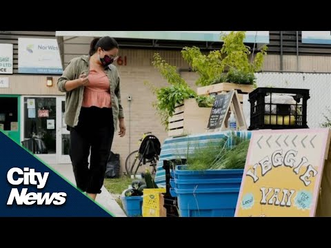 Veggie Van ready to hit the streets of Winnipeg again