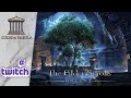 The elder scrolls online  vod 15