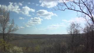 FILE0005.MOV