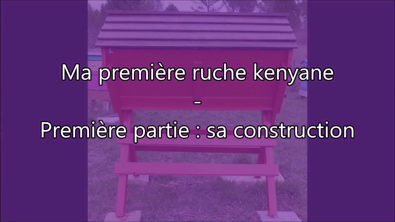 Ruche kenyane ou KTBH - partie 1 : sa construction et plan