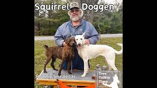 130. Squirrel Doggen