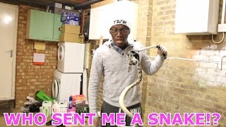 WHO SENT ME A SNAKE!?