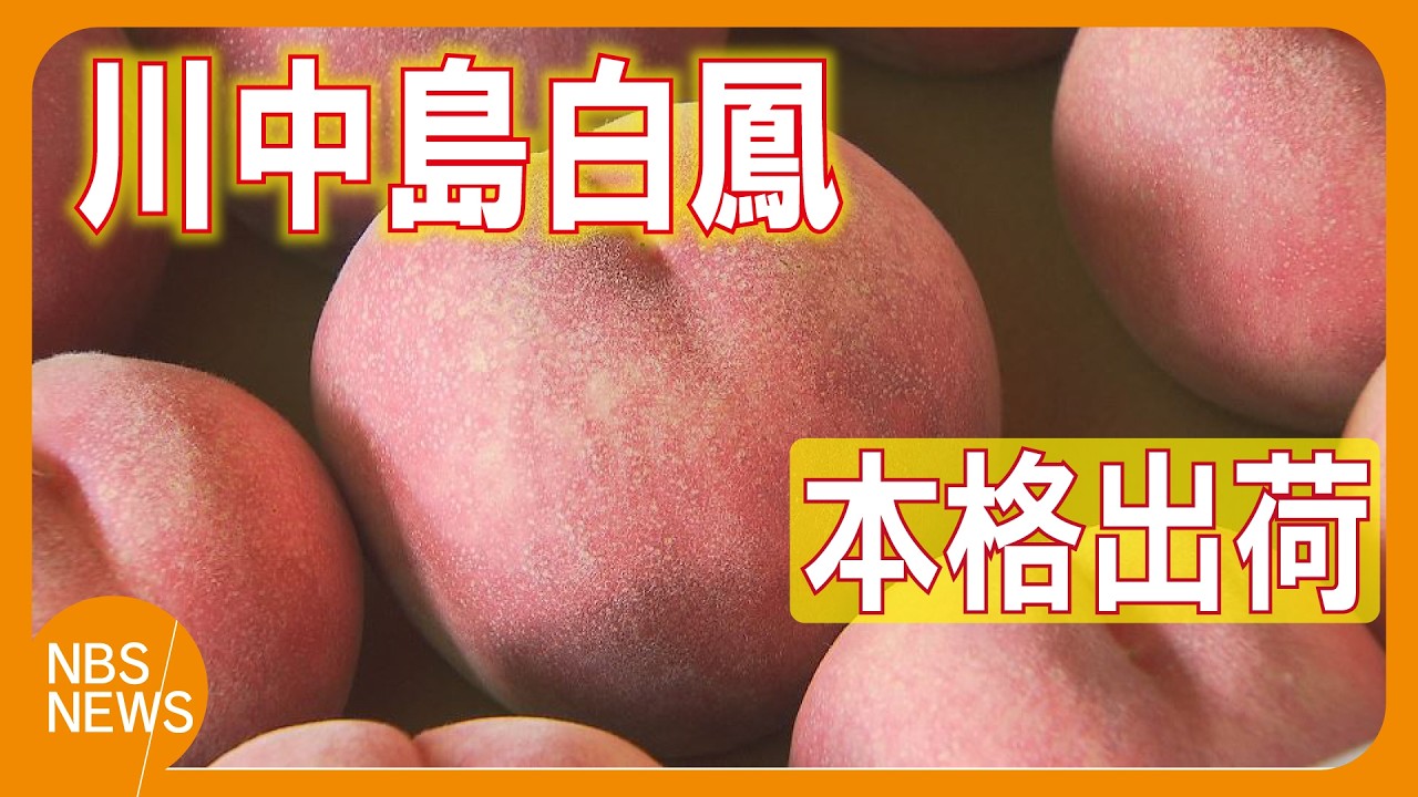 Shipments of peaches, described as 