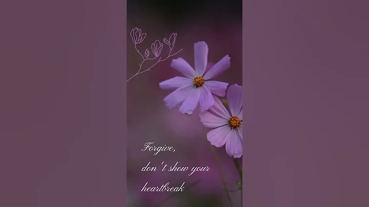 #guitar #cover #beach #music #travel #quotes #lifeisbutadream