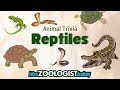 Reptile Trivia Quiz