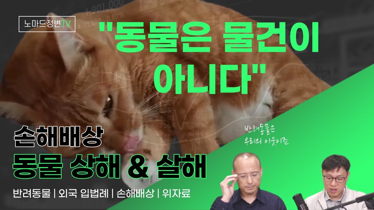 반려동물 살해 | 동물 학대 | 동물은 '물건'일까?