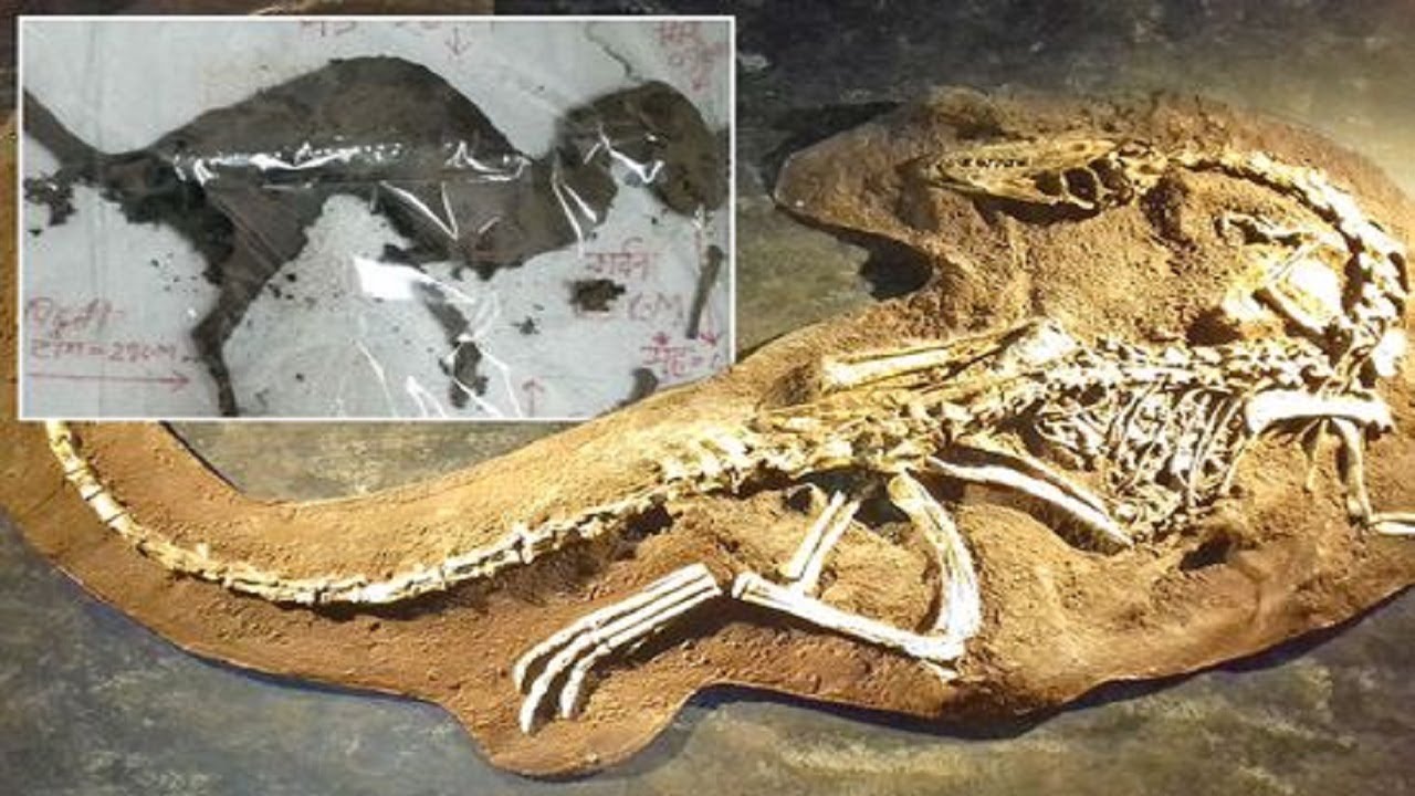 Mysterious dinosaur-like creature discovered with flesh still on its bones leaves scientists baffled