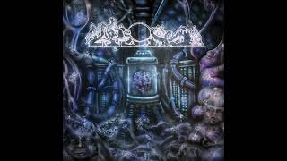 Celebrity Fake Dust - "Decrepitizing Din Of The Cerebral Psyopticon" (Full Album 2026) [Grindcore] Wealth