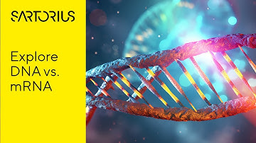 Introducing Transfection: DNA & mRNA Transfection Explained