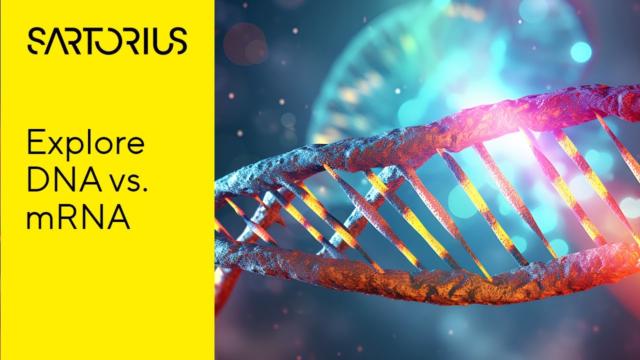 Introducing Transfection: DNA & mRNA Transfection Explained