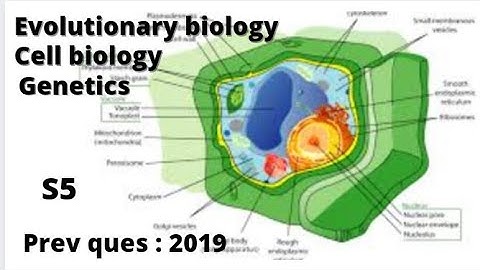 | K U BSc Botany previous questions  ( Sem 5 ) Cell & evolutionary biology , Genetics | 2019 |