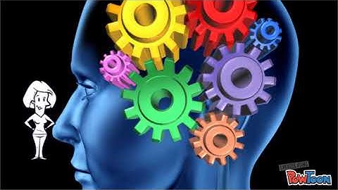 Junior Breakthrough Challenge: The Nervous System