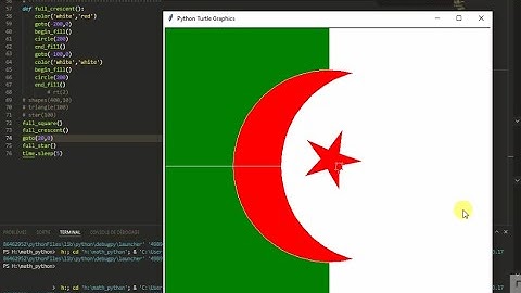 Algerian flag with turtle علم الجزائر باستعمال تيرتل