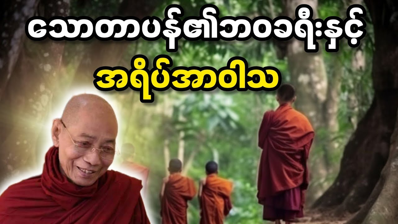 သောတာပန်၏ဘဝခရီးနှင့် အရိပ်အာဝါသ 