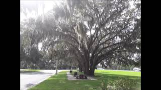 How Georgia looked in winter 2018?  (Rest area on I-95)