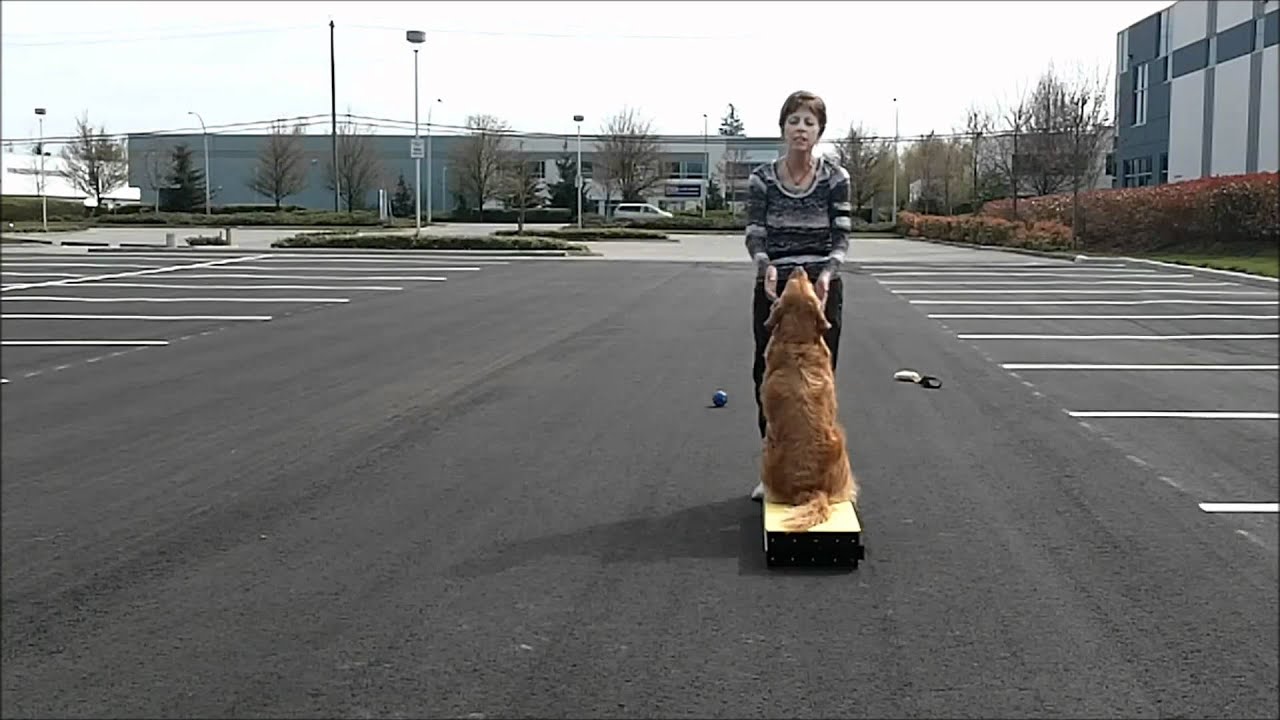 Utility Signals - Focus & Fun - YouTube