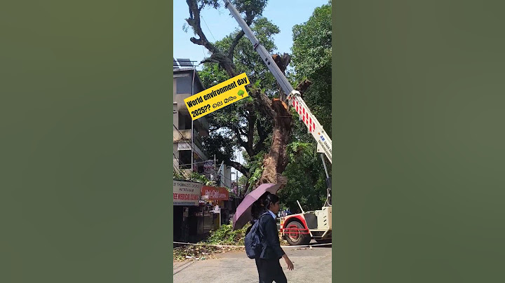 world environment deyy 2025 ലെ മരം 🌳#world #environment #day #tree  #trending #shorts #mohanlal