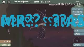 Asmr Wof Short Wings Of Fire Roblox