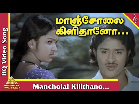 Mancholai Kilithano Video Song | Kizhakke Pogum Rail Tamil Movie Songs | Jayachandran | Ilayaraja