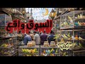 Bird Price Report At The Friday Market In Sayyida Aisha 6 3 2026