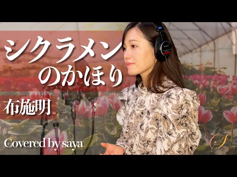 【フル歌詞付き】シクラメンのかほり・布施明(ピアノver./Covered by saya)