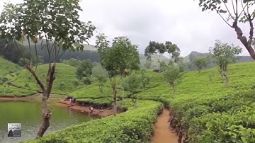 محمد رشاد الشريف   سورة المدثر 74   مصطفى غريب