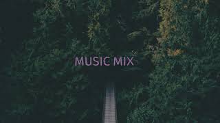 Shallou и Sultan + Shepard  - Pacifica (Sultan + Shepard Remix)