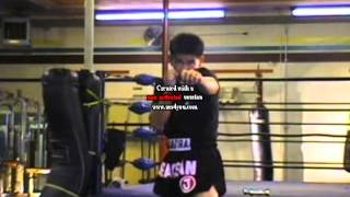 Mechanics of Muay Thai screenshot 5