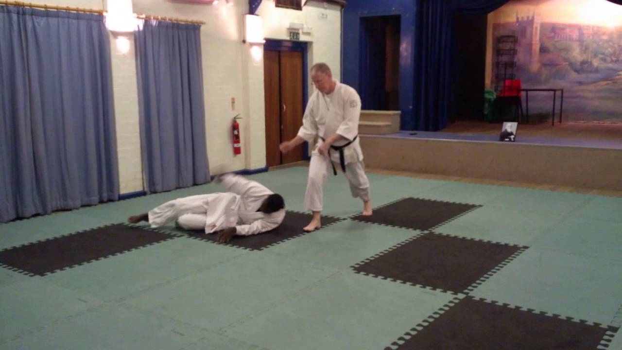 Aikido Fun