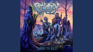 Hieroglyphs On Cement Walls