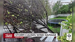 Herriman recovers and cleans up from Wednesday's wind storm