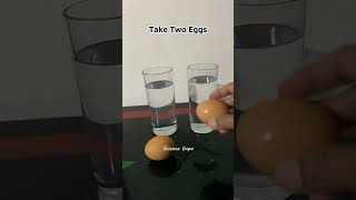 Celebrity Floating Egg Experiment | Why Eggs Float in Salt Water | The Egg and Salt Experiment Net Worth