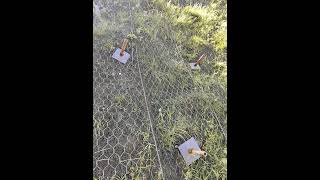 Macmat wire mesh installed