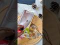 Travel Frame 🖼️#diy #diycraft #travel #frame #handmade #craftvideo #craftmakers #makingvideos #art