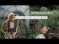 Sustainable Living | What is WWOOFING & is it worth it?