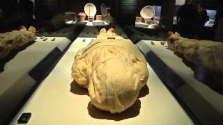 Mummy of the Day: Mumab the Maryland Mummy