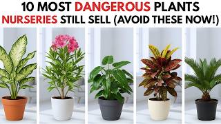 10 Most Dangerous Plants Nurseries Still Sell (Avoid These Now!) | Safer Alternatives Included 10 Most Deadly Plants On Earth