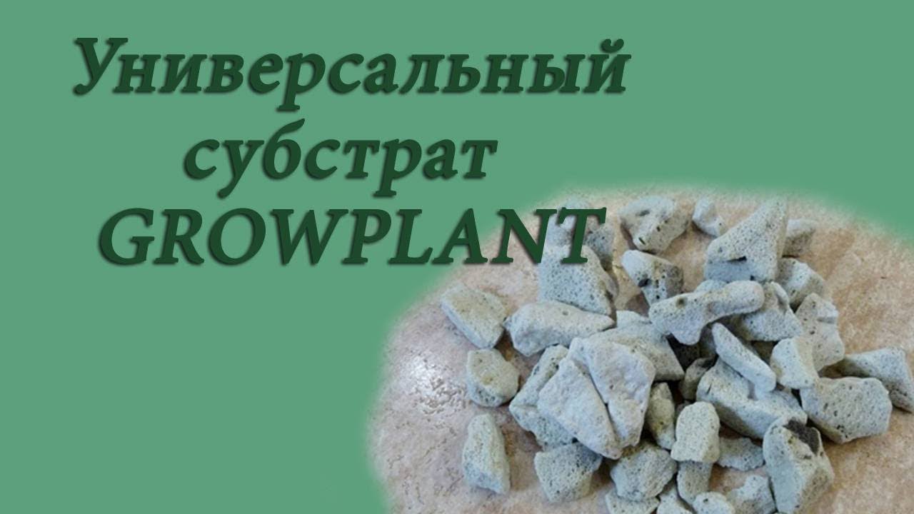 Универсальный субстрат GrowPlant (Gidroton)- что это такое...
