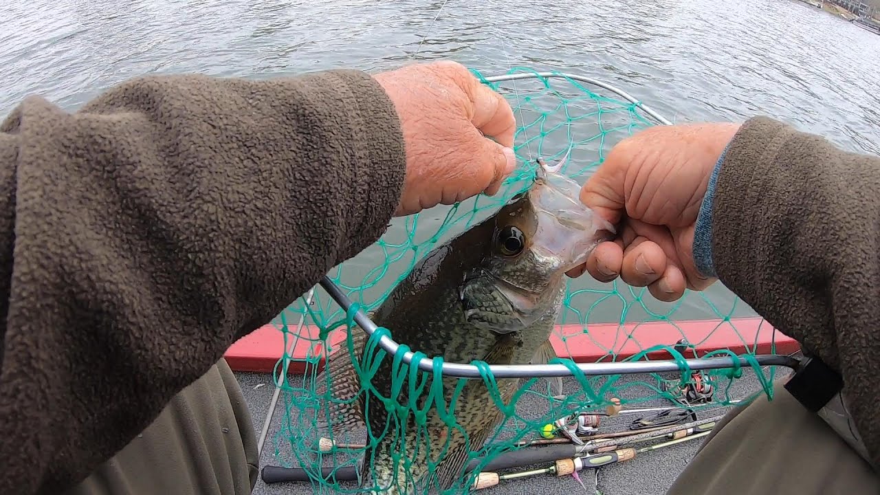 Monster Slab Crappies Using Small Hair Jigs, Lake Murray 