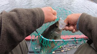 Monster Slab Crappies Using Small Hair Jigs, Lake Murray