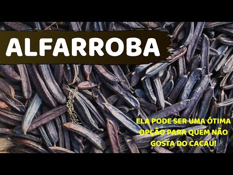 Vídeo: O Que é Goma De Alfarroba?