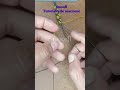 PULSERA HECHO A MANO  #bracelet #tutorialmacrame #pulserashechasamano #pulserasfaciles